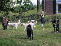 Puppys van Bliss040622-0126